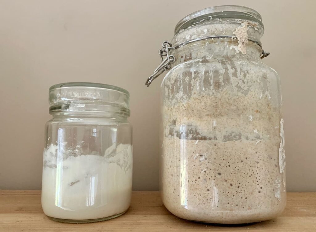 Errores comunes en la fermentación y cómo evitarlos