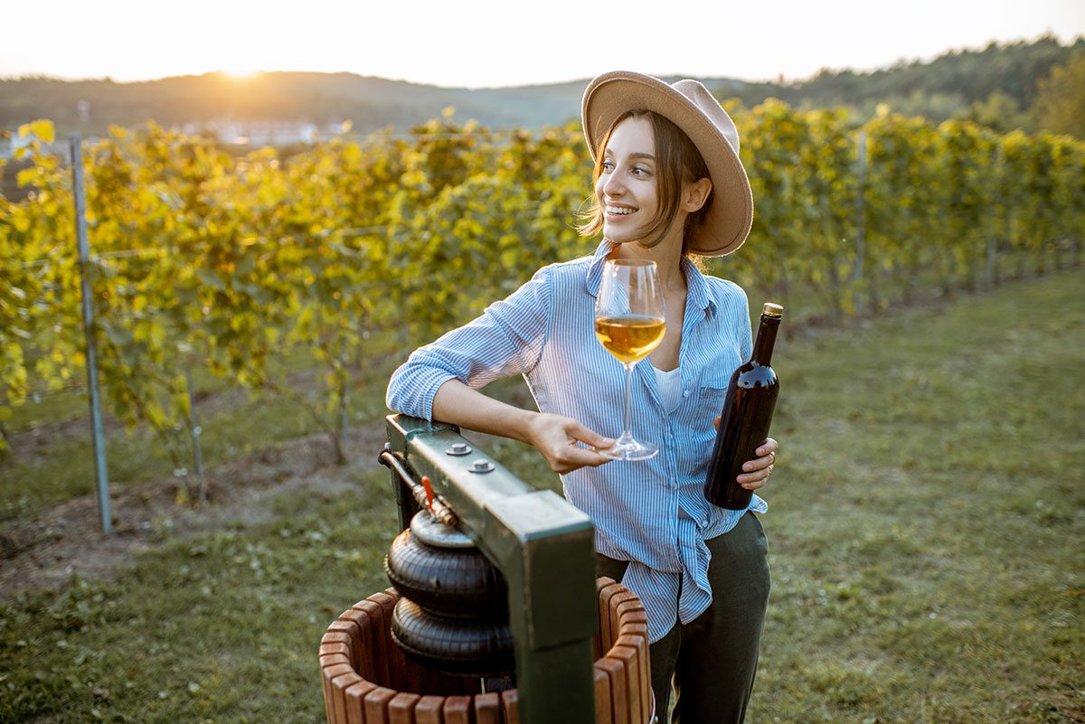 Imagen destacada de “La profesión del Enólogo”