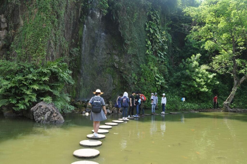 Organización durante la marcha