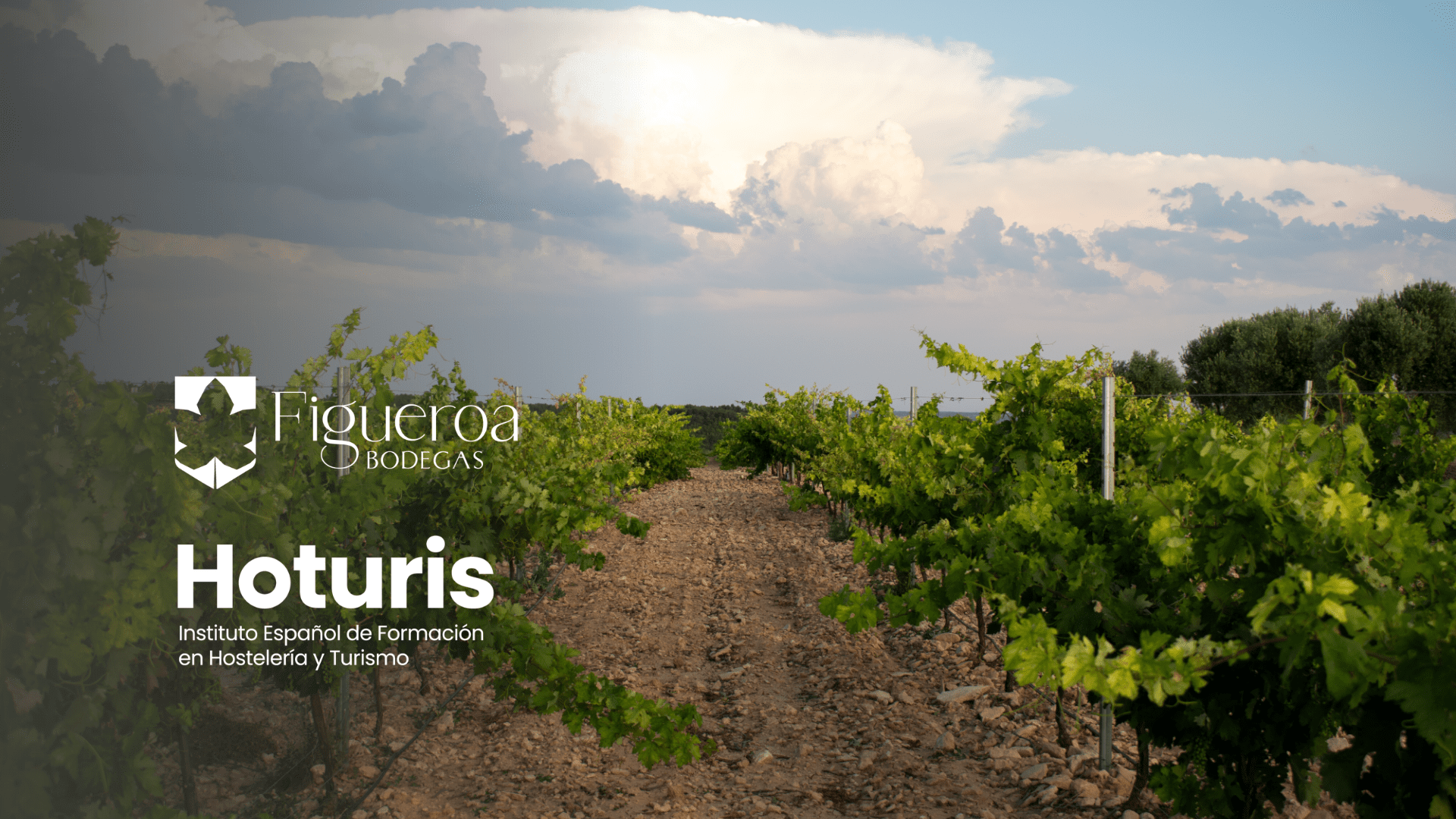 Imagen destacada de “Hoturis impulsa la formación en enología online con la colaboración de Bodegas Figueroa”