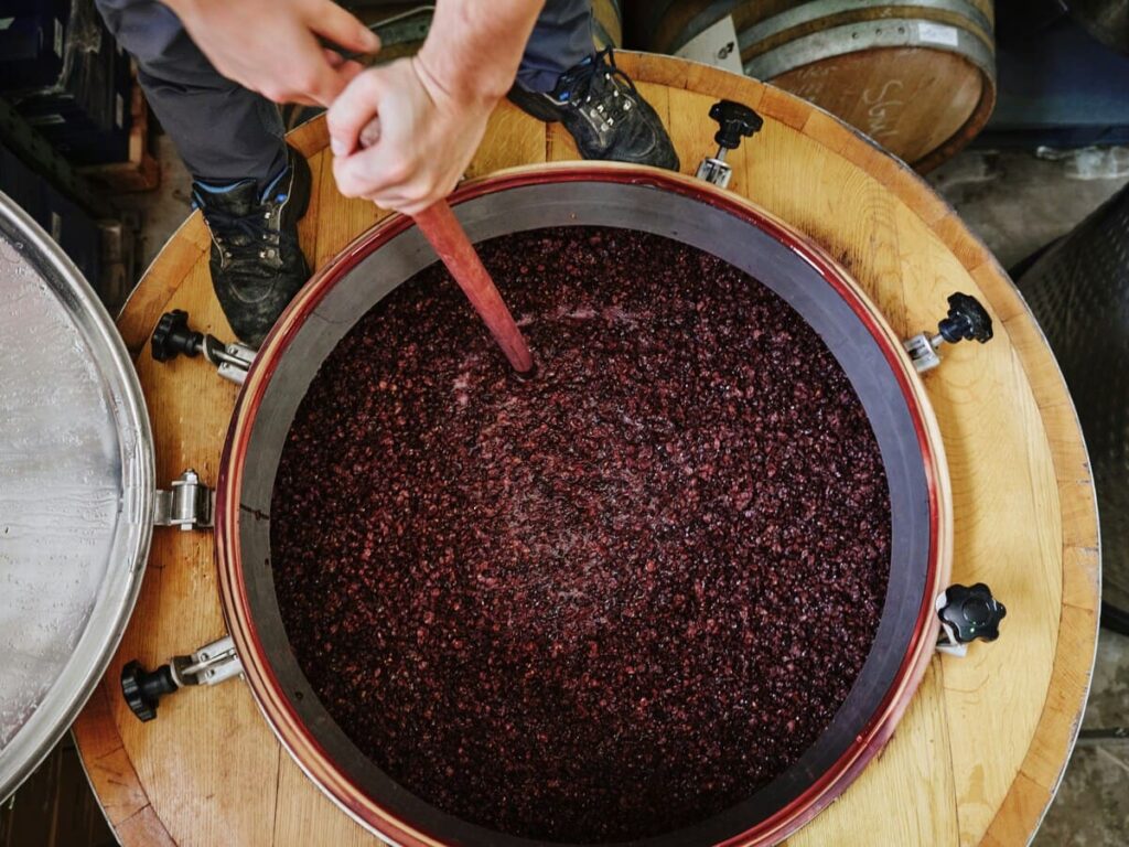 dominando las funciones del profesional de viticultura.