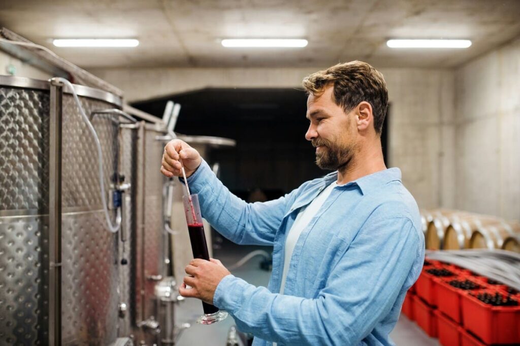 Viticultor supervisando los procesos de fermentación y embotellado en bodega, aplicando las funciones del profesional de viticultura.