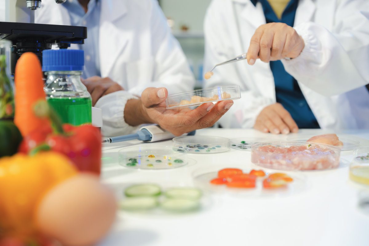 Imagen destacada de “Qué estudiar para ser experto en seguridad alimentaria”