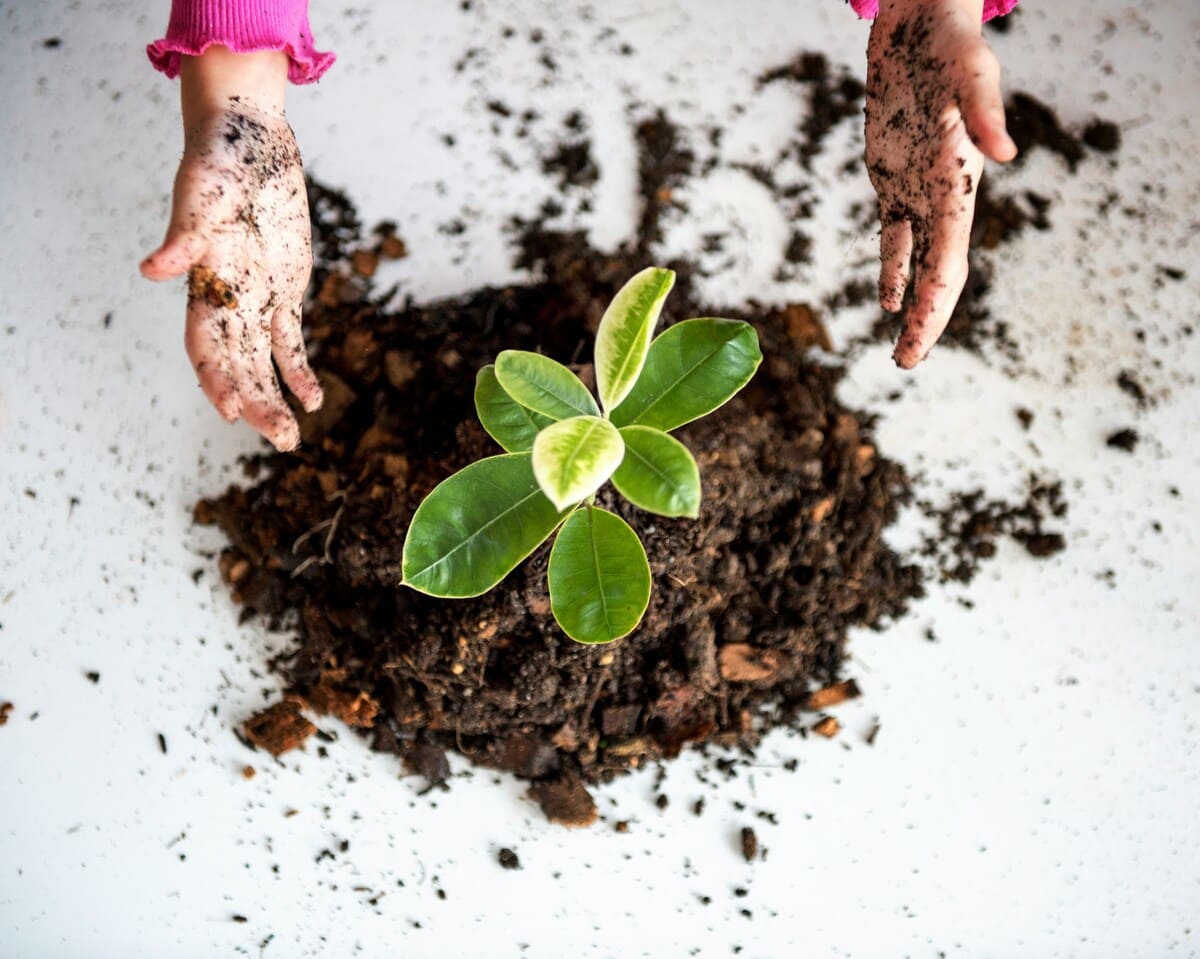 Imagen destacada de “Cómo trabajar la educación ambiental en actividades infantiles y juveniles”