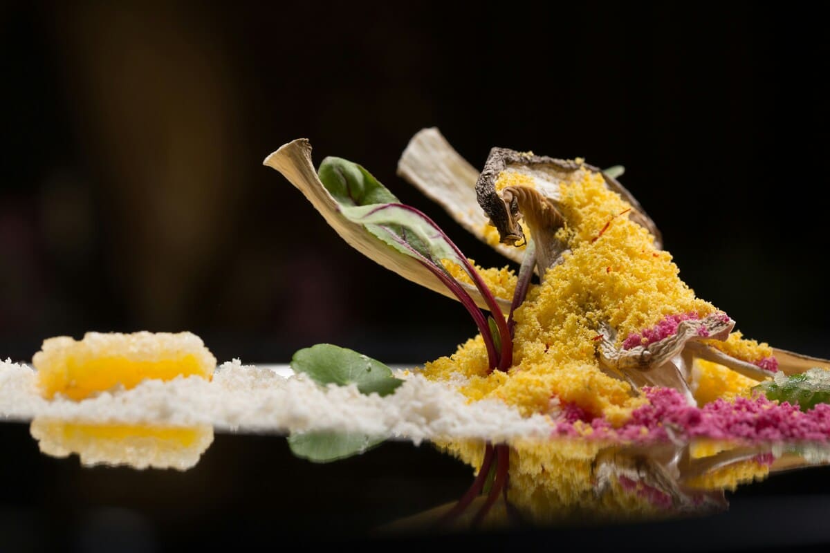 Imagen destacada de “Tendencias gastronómicas que están transformando las cocinas profesionales en 2026”